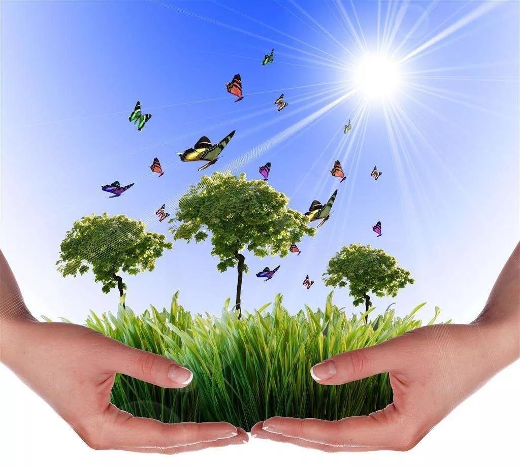 PINKY SWEAR (粉誓)首映在柏林掀起棒棒糖风暴,挑战好莱坞巨头